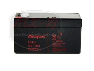 EGYÉB UNIVERSAL BATTERIE 12V 1,2AH 98X44X53