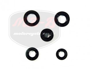 KÍNAI ROBOGÓ UNIVERSAL WELLENDICHTRINGSATZ KING,DELTA